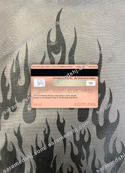 Egypt National bank visa electron card photolook back